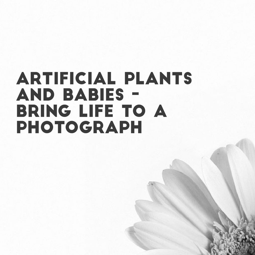 Fake plants and babies - How fake hedges can bring life to a photograph