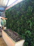 Fern Forest - Vertical Garden, Hedge Panel - Hedge Yourself