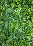 Fern Pop - Artificial Vertical Garden, Hedge Panel - Hedge Yourself