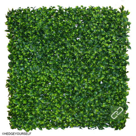 Hedge Panel - Dwarf Lilly Pilly - Artificial Garden Screen