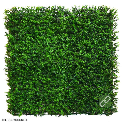 Hedge Panel - English Box Bushy - Artificial Garden Screen
