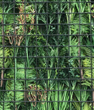 Hedge Panel - Landscape My Life - Hand Crafted Vertical Garden