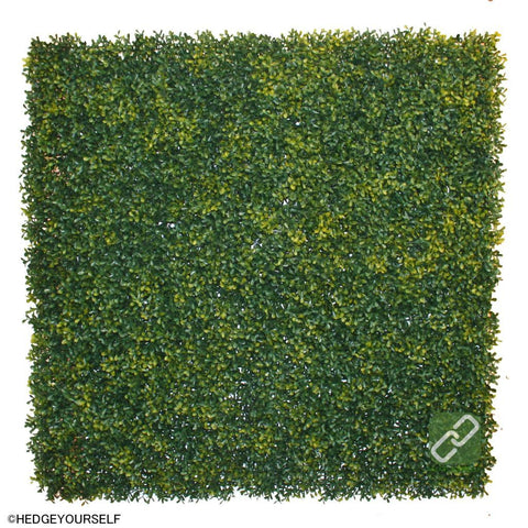 Hedge Panel - Natural Hedge - Artificial Garden Screen