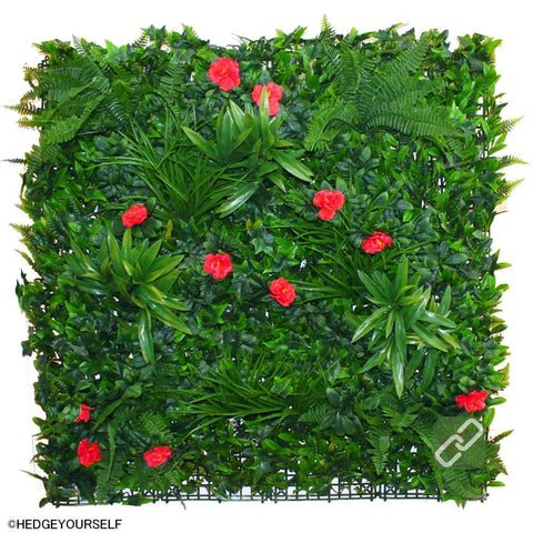 Hedge Panel - Rosaceae - Artificial Vertical Garden